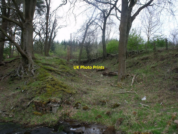 Photo 6"x4" Easter Jaw, possible lade Crossburn\/NS8672 c2012