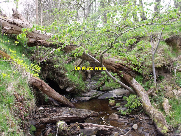 Photo 6"x4" Easter Jaw, ruins [12] Crossburn\/NS8672 c2012