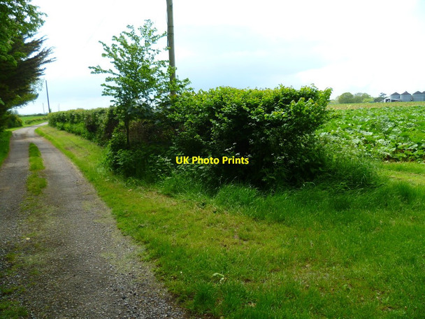 Photo 6"x4" Footpath south from Titchfield at Little Posbrook Little Posbrook c2012