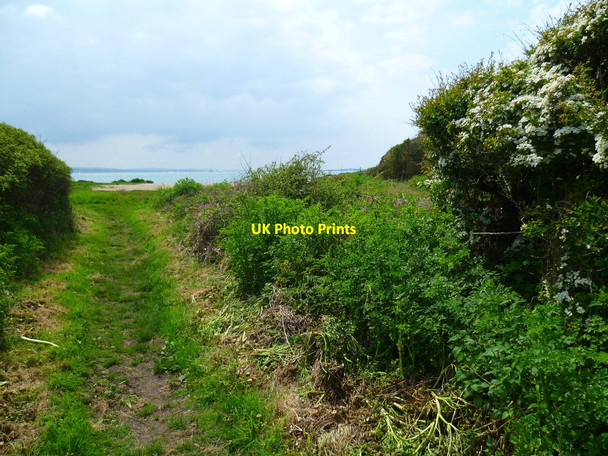 Photo 6"x4" Permissive footpath reaches Southampton Water Abshot c2012