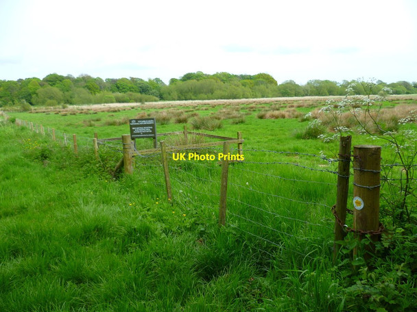 Photo 6"x4" Notice by footpath in Titchfield Haven NNR Little Posbrook c2012