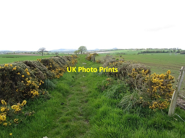 Photo 6"x4" Path, Balcurvie Balcurvie c2012