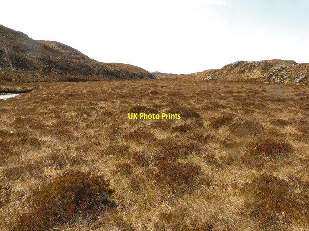 Photo 6"x4" The glen of the Alltan Riabhach Alltan Riabhach\/NC2242 c2012