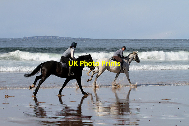 Photo 6"x4" Horse riding at Seacliff Blackdykes\/NT5883 c2012