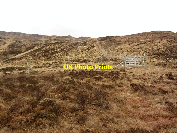 Photo 6"x4" Deer fence Teangue\/An Teanga c2012