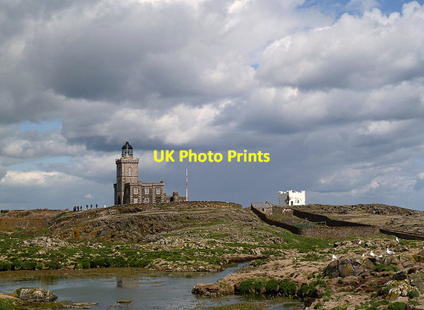 Photo 6"x4" The Isle of May Lighthouse Tarbet Hole c2012