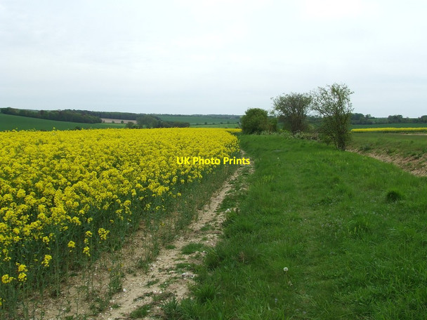 Photo 6"x4" Old Suffolk Road Dalham c2012