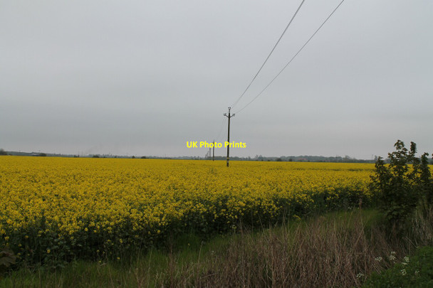 Photo 6"x4" Oil Seed Rape field and Electricity Poles Croft\/TF5061 c2012