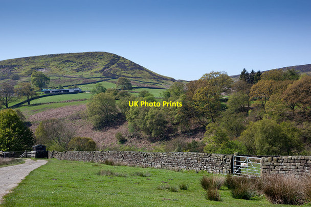 Photo 6"x4" The Nab from near Waites House Farm Westerdale\/NZ6605 c2012
