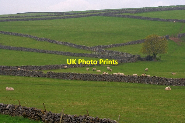 Photo 6"x4" Field Boundaries Wheston c2012