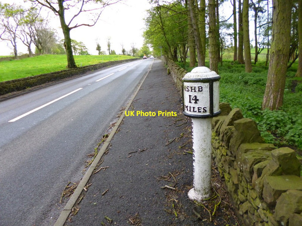 Photo 6"x4" Leek, milepost Leek\/SJ9856 c2012