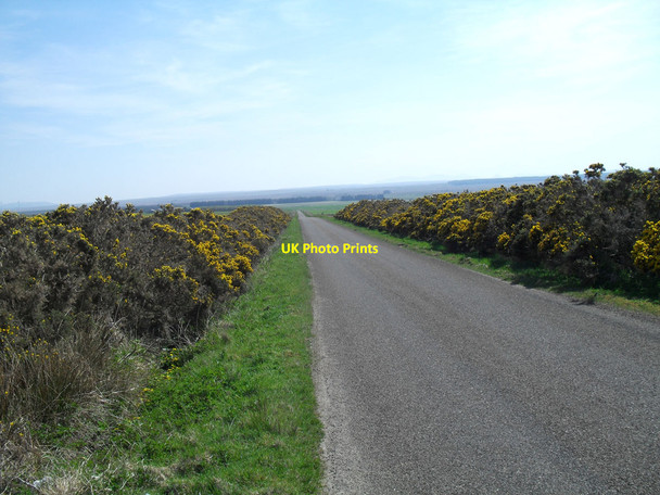 Photo 6"x4" Road down to Westerdale Strathcoul c2012