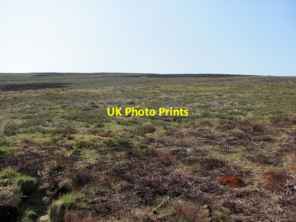 Photo 6"x4" Lammermuir moorland Hare Cleugh c2012