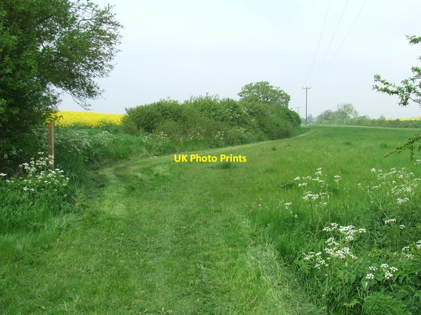 Photo 6"x4" Footpath To Withersfield Haverhill\/TL6645 c2012