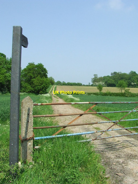 Photo 6"x4" Footpath And Sign Foxearth\/TL8344 c2012