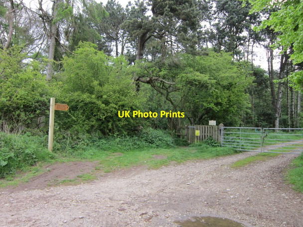 Photo 6"x4" The Wolds Way off Lutton Road West Heslerton c2012