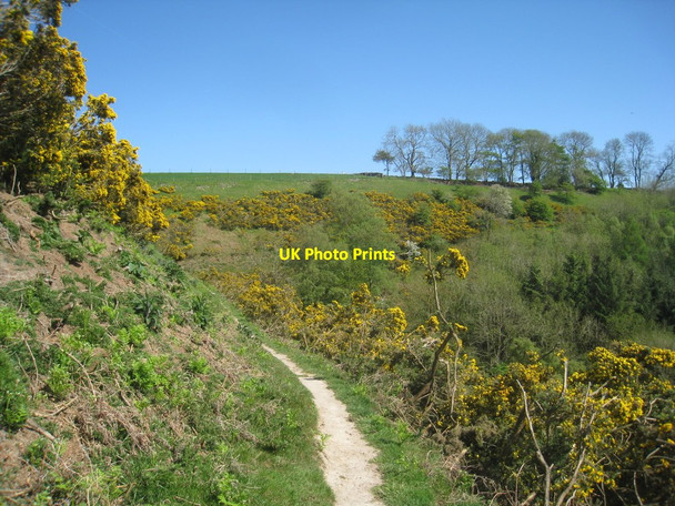 Photo 6"x4" Footpath above Keldgate Slack Levisham c2012