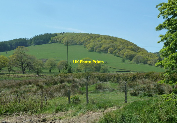 Photo 6"x4" Fields and hillside near Llanafan-fawr Llanafan-fawr c2012