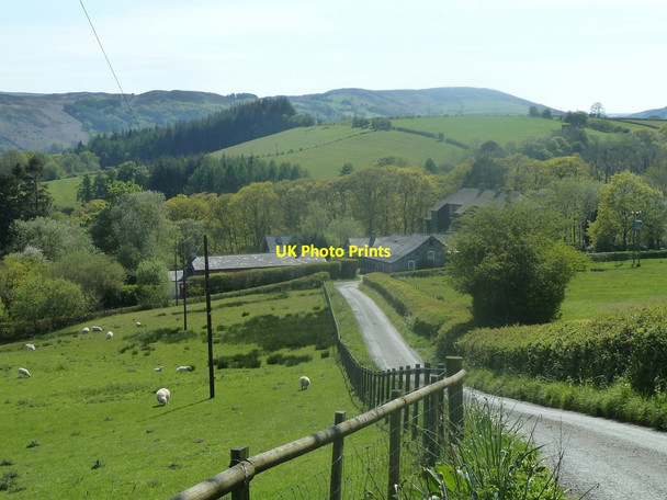Photo 6"x4" Farm track below Gigrin Llansantffraed-Cwmdeuddwr c2012