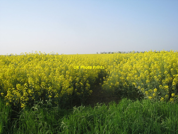 Photo 6"x4" Footpath to Ingham (2) Coates\/SK9183 c2012