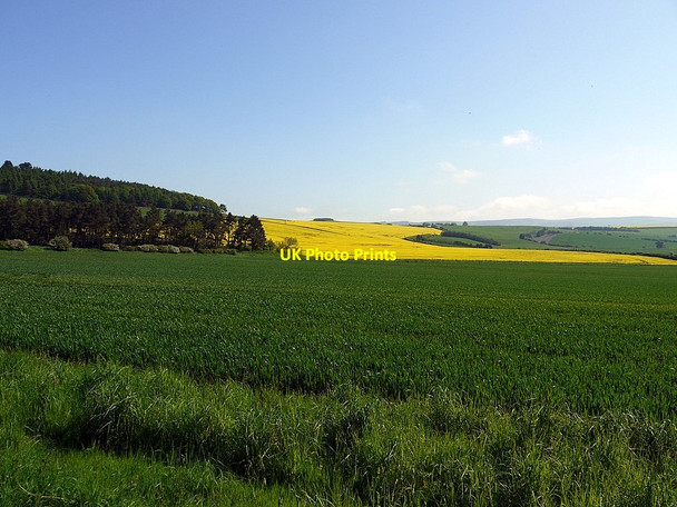 Photo 6"x4" Arable fields north-east of Weetwood Hill East Horton c2012