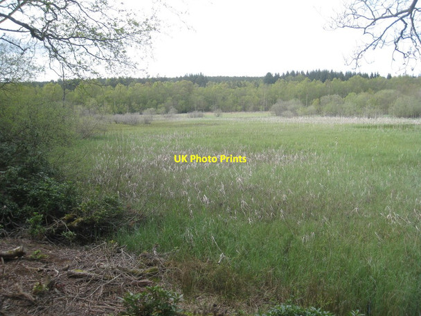 Photo 6"x4" Blackburn Lake Knocklaw c2012