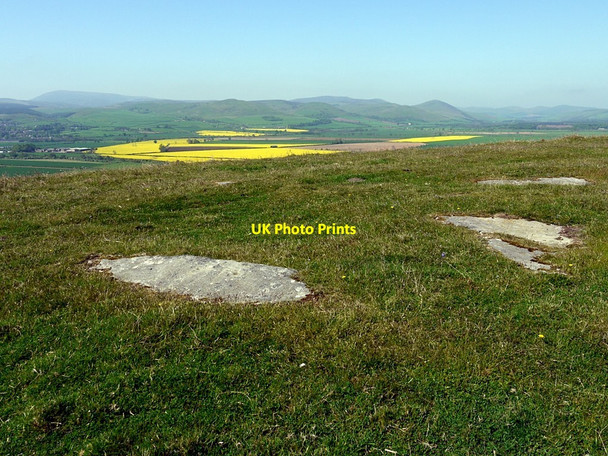 Photo 6"x4" Cluster of cup & ring marked rock outcrops, Gled Law East Horton c2012