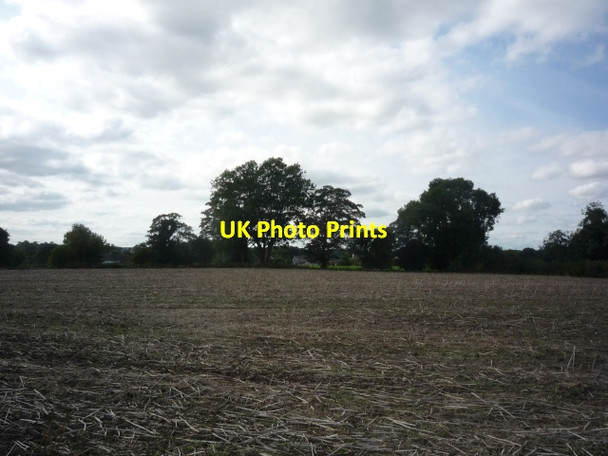 Photo 6"x4" Field of stubble Thorp Arch c2009
