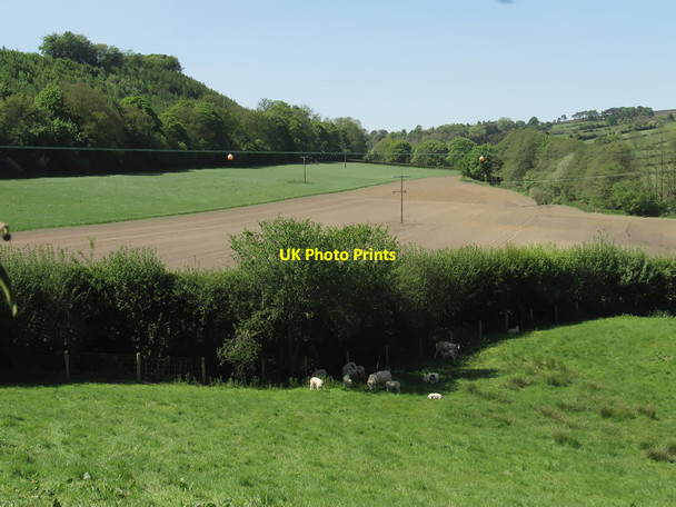 Photo 6"x4" View towards Lastingham Spaunton c2012