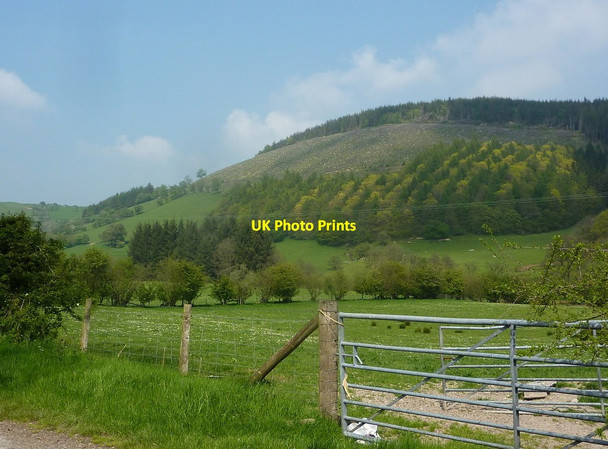 Photo 6"x4" Valley and wooded hillside Abbeycwmhir c2012