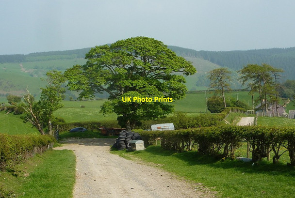 Photo 6"x4" Track above Upper Esgair Farm Bwlch-y-sarnau c2012
