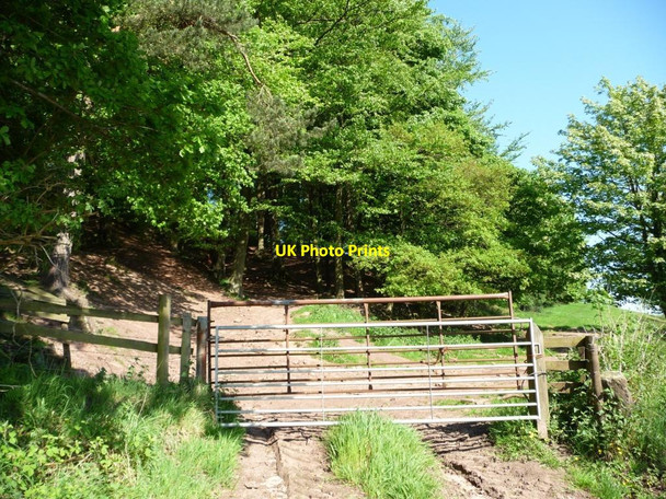 Photo 6"x4" Gated woodland and field access track Foxt c2012