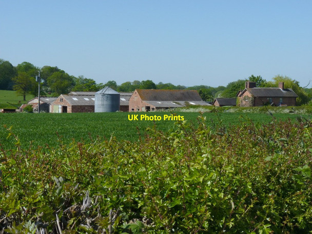 Photo 6"x4" Woodside Farm from the lane to the east Lawnhead c2012