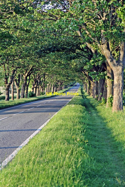 Photo 6"x4" Lever Causeway, Storeton Storeton c2012