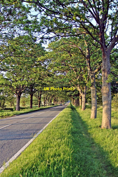 Photo 6"x4" Lever Causeway, Storeton Storeton c2012 P1