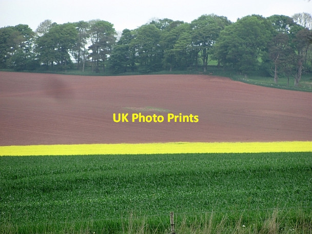 Photo 6"x4" South slopes of Fans Hill Fans c2012