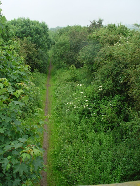 Photo 6"x4" Disused railway line, Little Grimsby Little Grimsby c2008