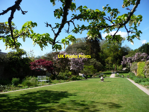 Photo 6"x4" Gardens of Heligan Kestle\/SW9945 c2012 P1
