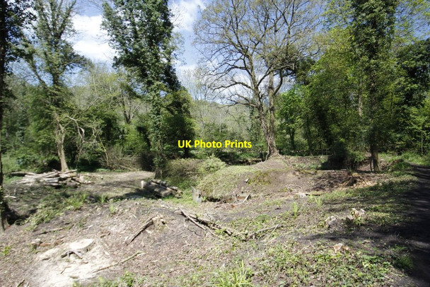 Photo 6"x4" A dug out area Chilworth\/TQ0247 c2012