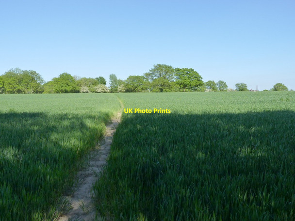 Photo 6"x4" Bridleway towards Birks Barn Shutt Green c2012