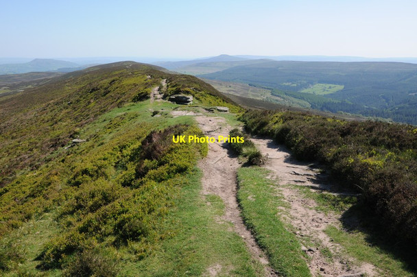 Photo 6"x4" Path near Bwlch Bach Llanthony c2012