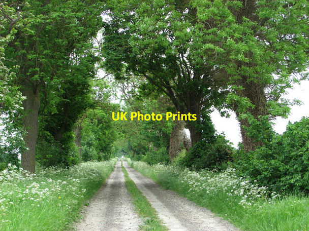 Photo 6"x4" Cadenham Road Swaffham Prior c2012
