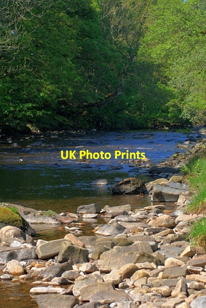 Photo 6"x4" River Wear Eastgate\/NY9538 c2012