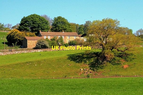 Photo 6"x4" Golden Land Stanhope\/NY9939 c2012