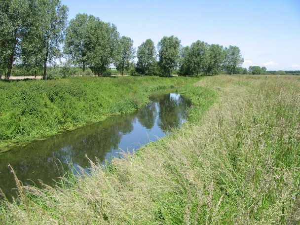 Photo 6"x4" The Little Stour Grove Hill\/TR2360 c2008