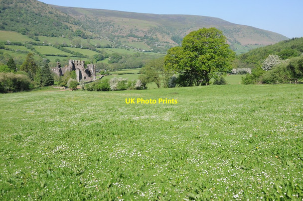Photo 6"x4" Field above Llanthony Priory Llanthony c2012