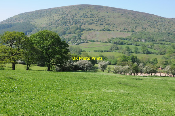 Photo 6"x4" View to Graig Ddu Llanthony c2012