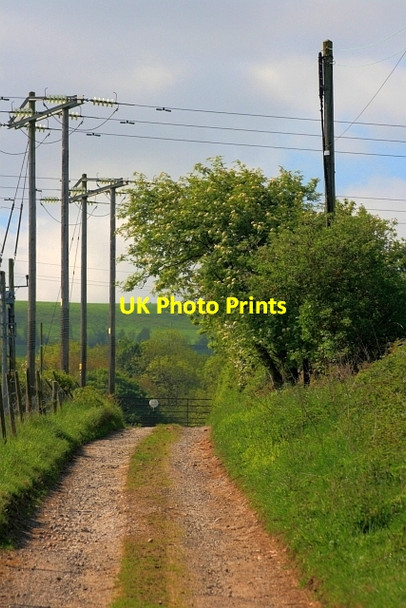 Photo 6"x4" Track to Towdy Potts Upper Town\/NZ0737 c2012