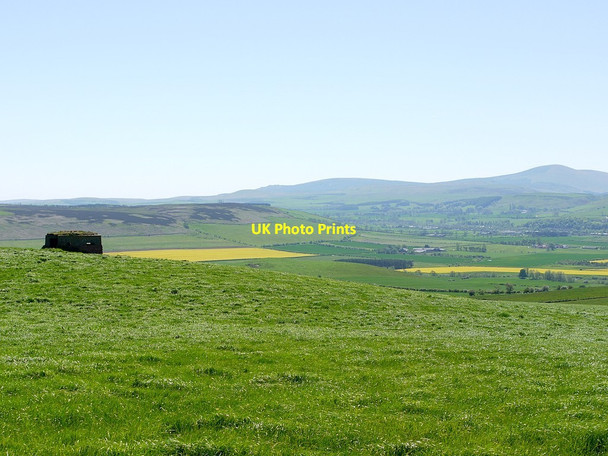 Photo 6"x4" Pillbox between West Plantation and Buttony East Horton c2012