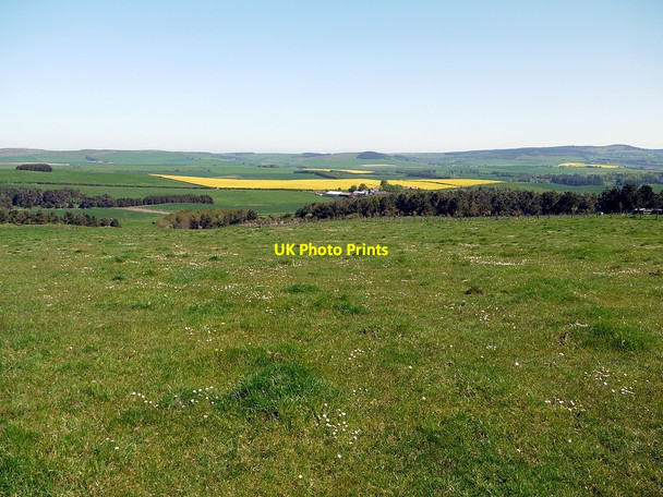 Photo 6"x4" Pasture above West Horton East Horton c2012